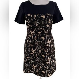 Miss Wu NWT Chic Black and Cream Lace Mini Dress size 8